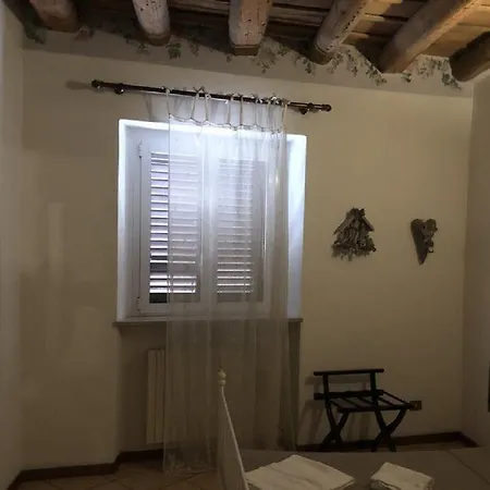Ai Leoni 2*